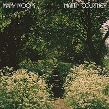 best albums 2015 martin courtney
