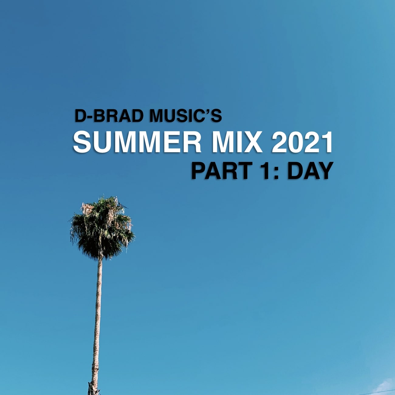 Screen Shot 2021-07-28 at 12.04.29 PM